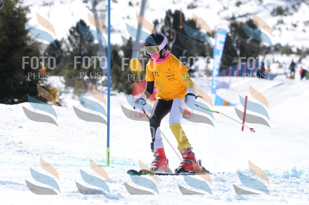 C8924 | holidayphoto