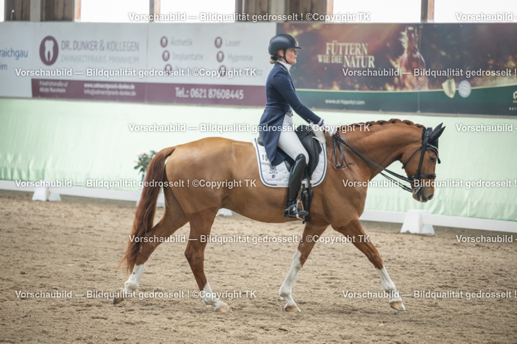 _D5A5282 | Emotionale Pferde- & People-Fotografie rund um Heidelberg, Leimen & Umgebung. Natürliche Fotos von Pferd, Mensch & Familie. Jetzt Termin sichern!