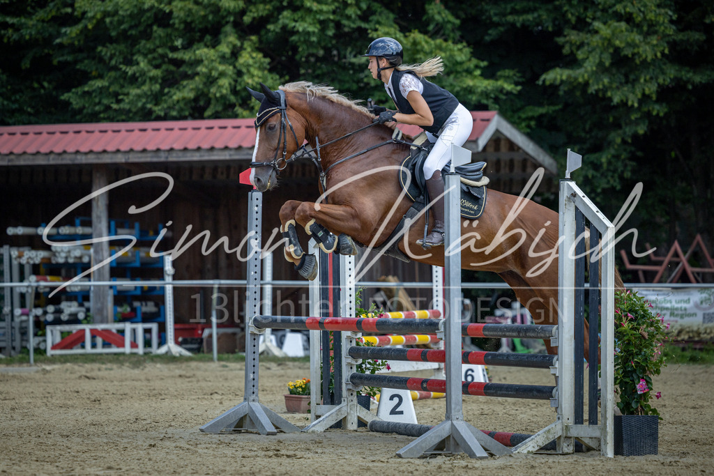 20260704-_3LI9412 | Tierfotografie Pferde, Hunde, Katzen, Haustiere.
Turnierfotografie Reitturniere, Reiten, Springreiten, Dressur in Hanau, dem Main-Kinzig-Kreis und dem Rhein-Main- Gebiet um Frankfurt
