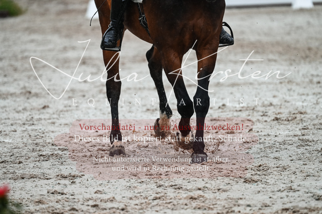 DSC_4529 | Pferde- und Turnierfotografie in Westsachsen. Pferdeportraits, Auftragszeichnungen und intuitive Kunst.