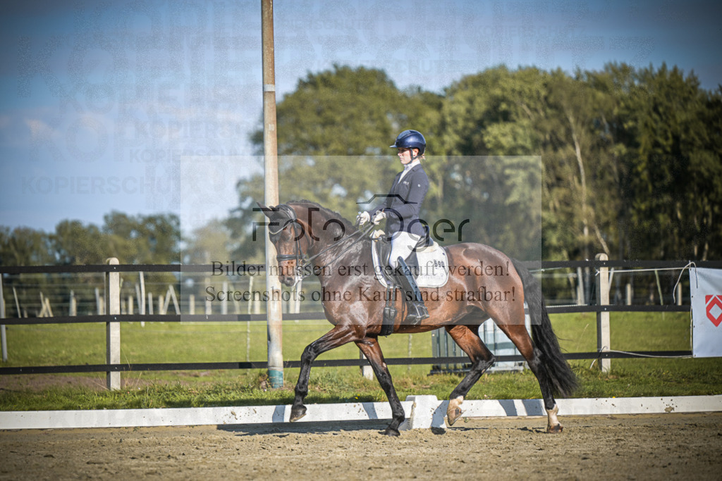 DOS_B806 | Entdecke hochwertige Reitturnierfotos von Foto Oger. Professionell, emotional und authentisch – jetzt Lieblingsmomente im Shop bestellen.Deutschlandweite Turnierfotografie. - Realisiert mit Pictrs.com