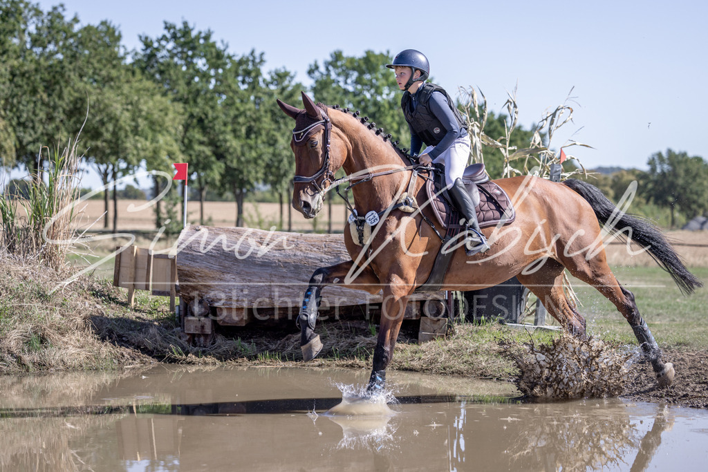 20260906-_3LI2872 | Tierfotografie Pferde, Hunde, Katzen, Haustiere.
Turnierfotografie Reitturniere, Reiten, Springreiten, Dressur in Hanau, dem Main-Kinzig-Kreis und dem Rhein-Main- Gebiet um Frankfurt