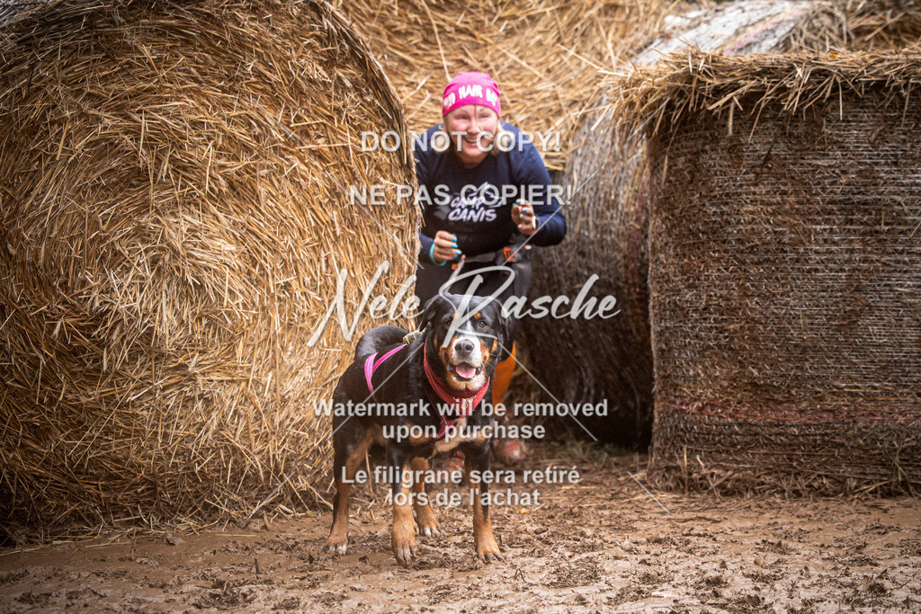 nelerasche_Hunsrück_So09-11_04 | nelerasche