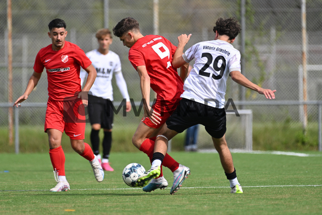 MW9_5825 | MWMARA - Realisiert mit Pictrs.com