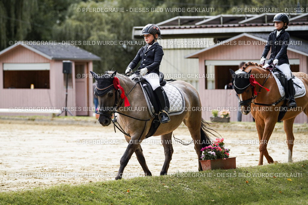 DSC05821 | Pferdegrafie