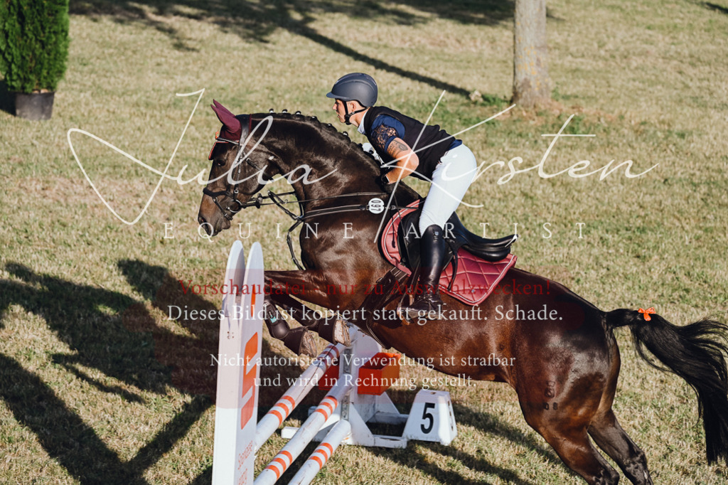 DSC_3246 | Pferde- und Turnierfotografie in Westsachsen. Pferdeportraits, Auftragszeichnungen und intuitive Kunst.