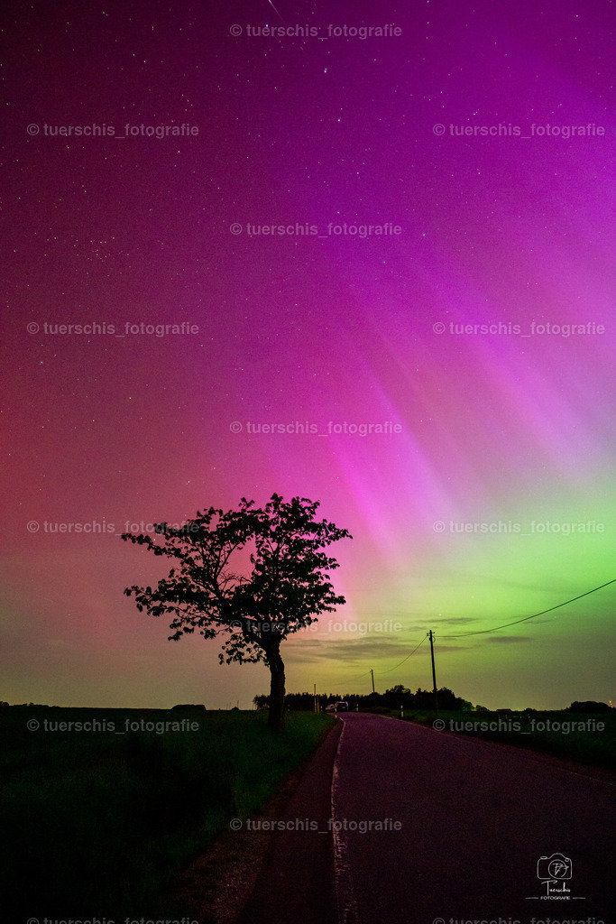 _DSC8847 | tuerschis_fotografie - Realisiert mit Pictrs.com