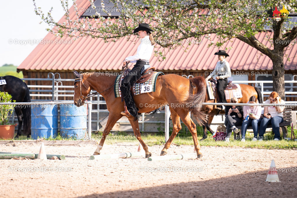 LMB08765 | BS-foto