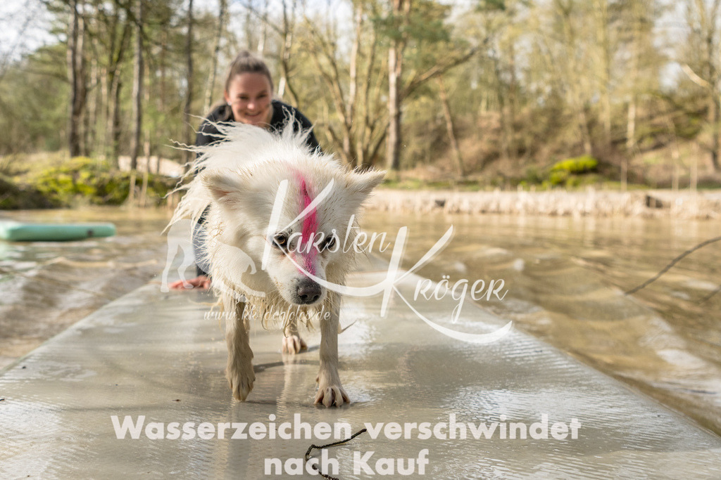 1007_ZZ92628 | kk-dogfotos