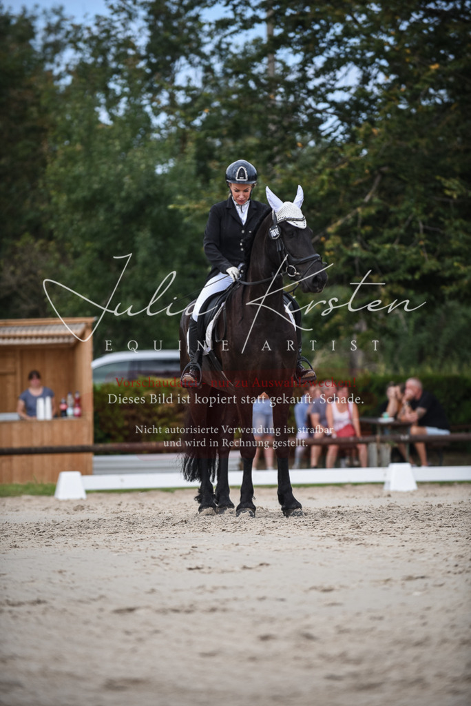 DSC_8620 | Pferde- und Turnierfotografie in Westsachsen. Pferdeportraits, Auftragszeichnungen und intuitive Kunst.