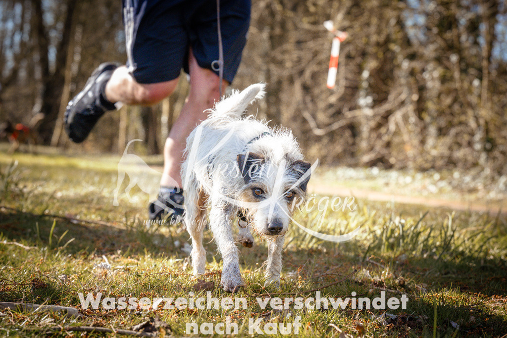 0902_ZZ93493 | kk-dogfotos