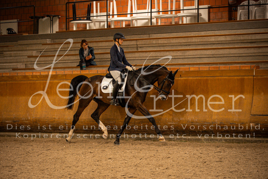 2Reiten00316 | Leoni Ertmer Photography - Realisiert mit Pictrs.com