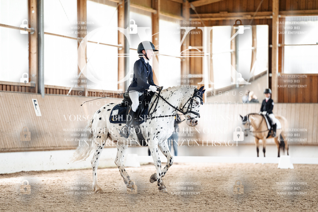 CK901452 | Turnierfotografie Pferdefotografie Trier Rheinland-Pfalz Pferdesport Reitsport Tierfotografie Sportfotografie Pferdevideo Pferdevideografie Equestrianvideography equestrianphotography  - Realisiert mit Pictrs.com