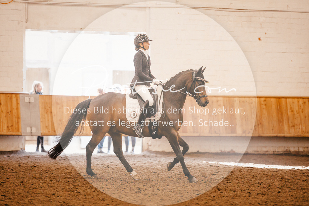 3I6A1996 | Stimmungsvolle Portraits und Reitsportfotografie im Ruhrgebiet und im Münsterland.

Pferdefotografie, Hundefotografie, Tierfotografie, Reportagen, Portraits von Tier und Mensch, Turnierfotografie in Bochum, Recklinghausen, Marl, Haltern am See, Dülmen.. - Realisiert mit Pictrs.com