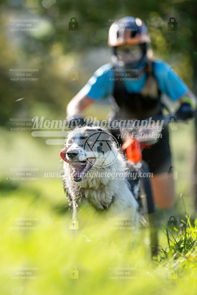 MompixPhotography_20TSB_E3_DS1-93 | PayLife