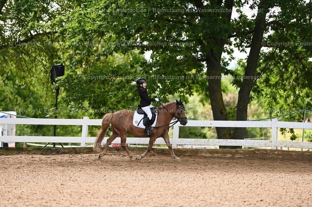 20230716_10-3_Reiter-WB Schritt - Trab - Galopp_0258 | equistock