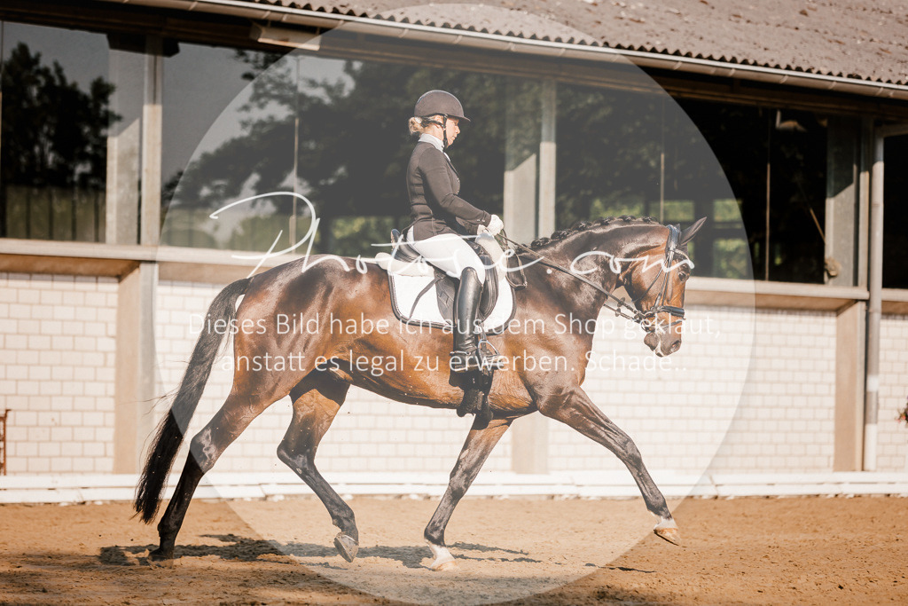3I6A8599 | Stimmungsvolle Portraits und Reitsportfotografie im Ruhrgebiet und im Münsterland.

Pferdefotografie, Hundefotografie, Tierfotografie, Reportagen, Portraits von Tier und Mensch, Turnierfotografie in Bochum, Recklinghausen, Marl, Haltern am See, Dülmen.. - Realisiert mit Pictrs.com
