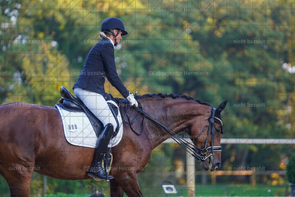 20221007-FAH00541 | Diessen am Ammersee, 2022, Dressur- und Springturnier, Reitsportbilder, Turnierfotografen Bayern, Pferdefotografen, Fotoagentur Herrmann, Turnierbilder