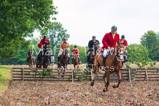 Jagd Kletkamp 26-03058_MarinaHewig | Fotografie, FotoArt, PferdesportArt, Pferdesportfotografie, Landschaftsfotografie, Reisefotografie, Reise, Pferde - Realisiert mit Pictrs.com