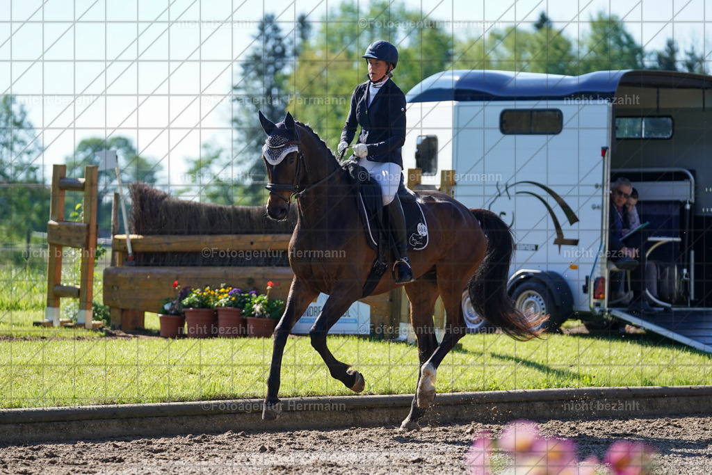 20240519-FAH04543 | Turnierbilder Niederseeon 2024, Vielseitigkeitsdressur, Reitsportbilder aus dem Landkreit Ebersberg, Gut Steinsee, RC Steinsee, Fotoagentur Herrmann