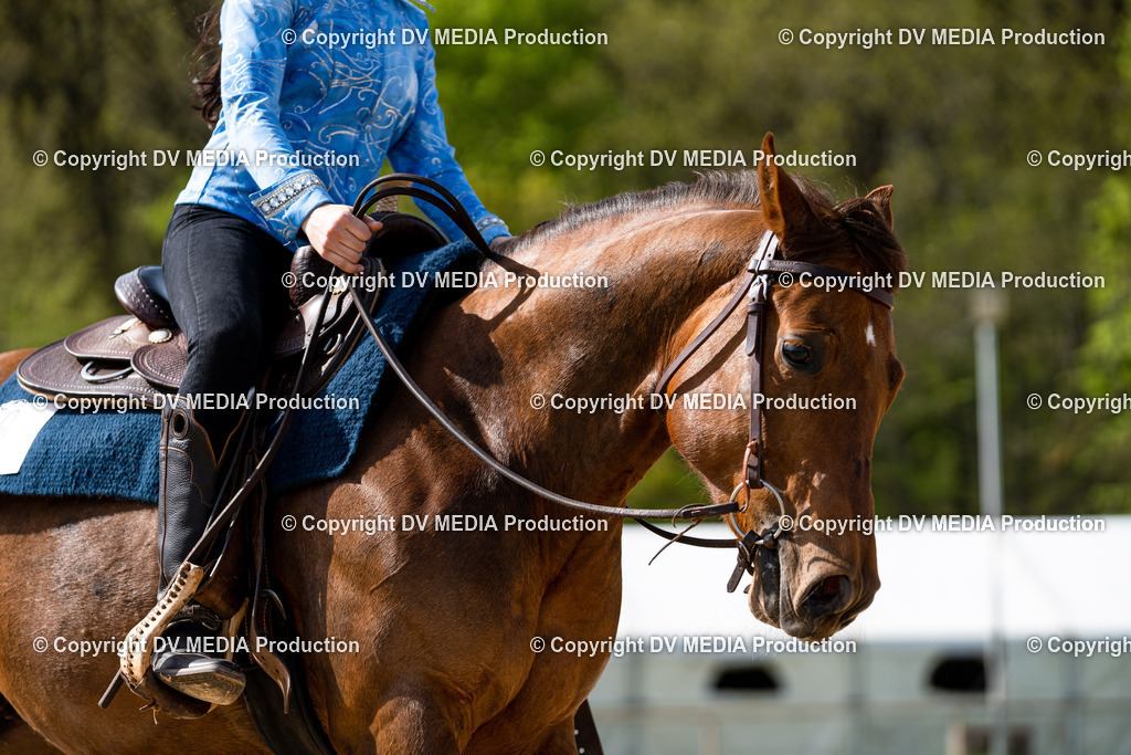 Heiligenwald Tag 2-931 | dv-media-shop - Realisiert mit Pictrs.com