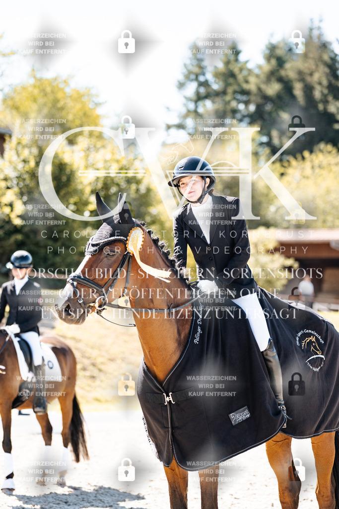 CK909936 | Turnierfotografie Pferdefotografie Trier Rheinland-Pfalz Pferdesport Reitsport Tierfotografie Sportfotografie Pferdevideo Pferdevideografie Equestrianvideography equestrianphotography  - Realisiert mit Pictrs.com