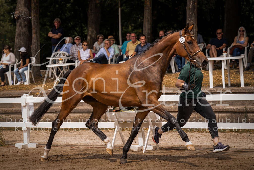 4.Fr00106 | Leoni Ertmer Photography - Realisiert mit Pictrs.com