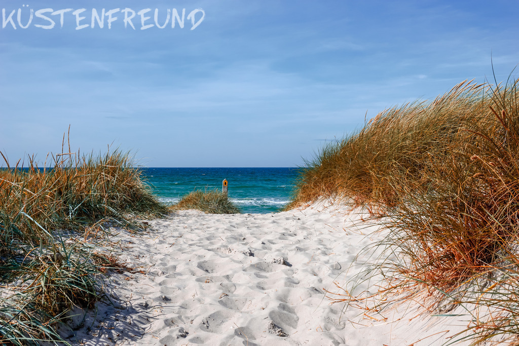 Düne Weststrand // Ostseebilder | Entdecke deine Lieblingslandschaft von der Küste – auf Ostsee Leinwand, Nordsee Leinwand, Alu Dibond oder Acrylglas, passend für jeden Geschmack und Raum.