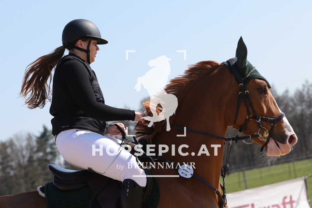 0P6A6527 | Willkommen bei Brunnmayr - Design & Fotografie – Ihrem Spezialisten für Reitturniere und Pferdeveranstaltungen in Oberösterreich, Salzburg und Bayern! Seit über 17 Jahren sind wir leidenschaftlich dabei.