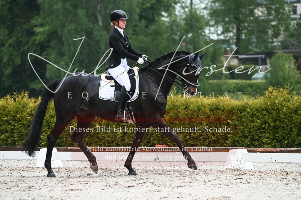 DSC_4504 | Pferde- und Turnierfotografie in Westsachsen. Pferdeportraits, Auftragszeichnungen und intuitive Kunst.