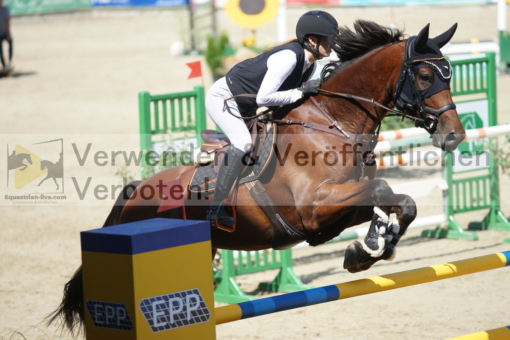 DSC05822 | equestrian-live-com