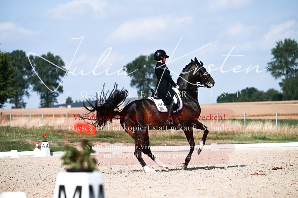 DSC_3391 | Pferde- und Turnierfotografie in Westsachsen. Pferdeportraits, Auftragszeichnungen und intuitive Kunst.