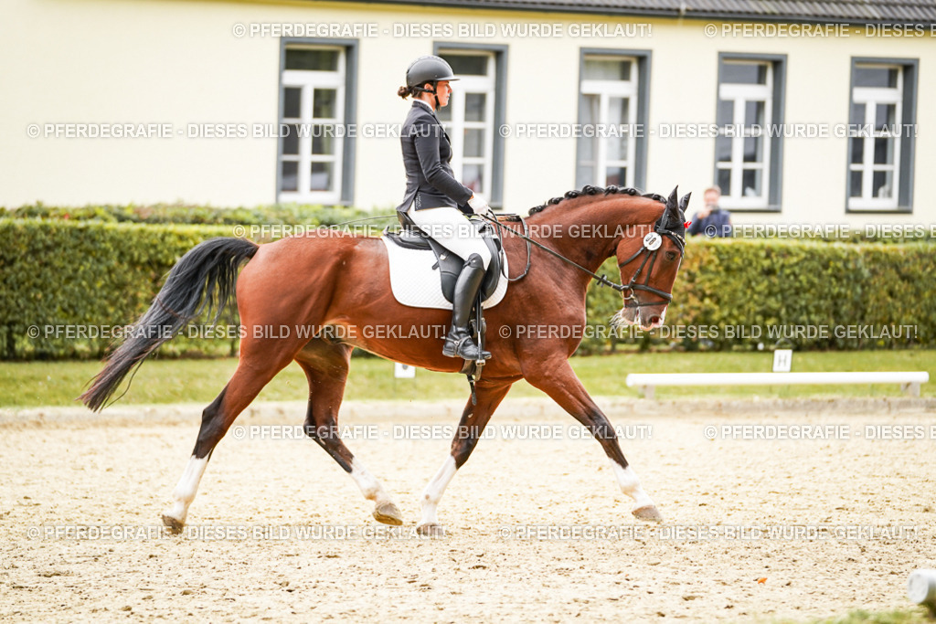 DSC03297 | Pferdegrafie