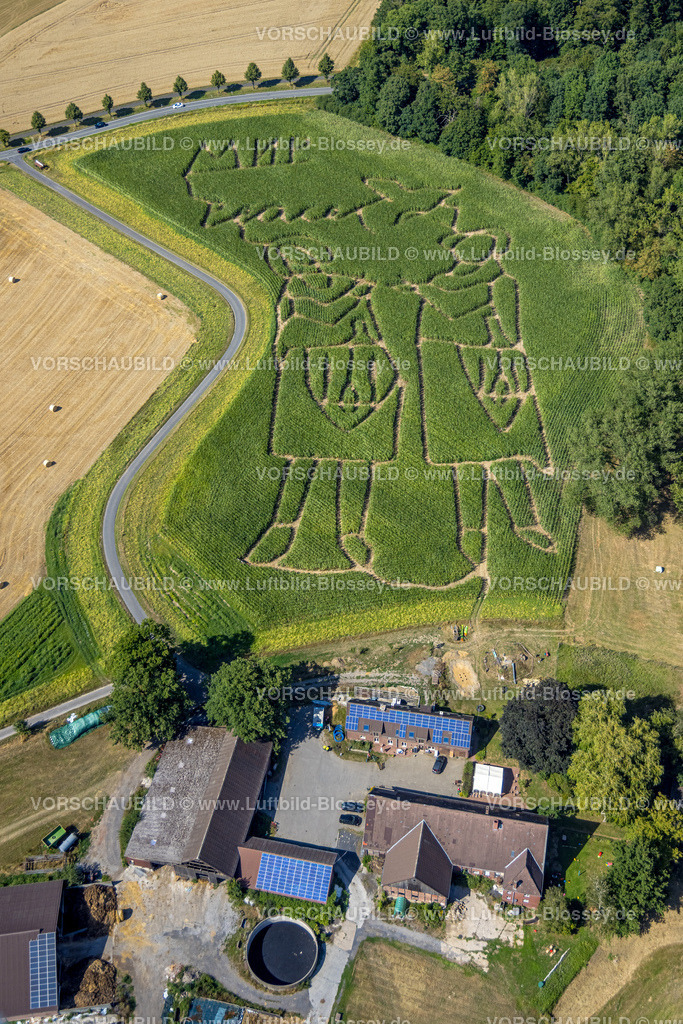Selm220801046BauerLuenemannMaislabyrinthPeace | Luftbild des Maislabyrinth auf dem Acker von Bauer Benedikt Lünemann in Cappenberg NRW, Thema ist der Krieg in der Ukraine. Die Worte MIR und PEACE und Friede steehen als Botschaft im Maisfeld, Cappenberg bei Lünen , Ruhrgebiet Deutschland