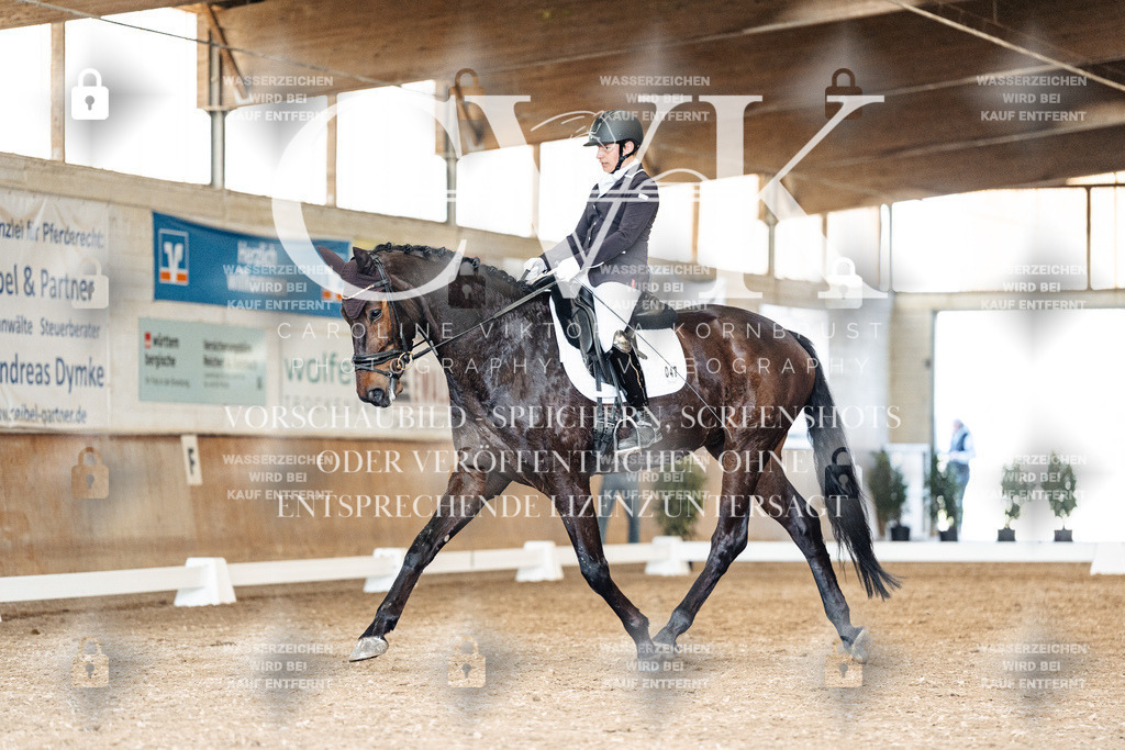 CK901468 | Turnierfotografie Pferdefotografie Trier Rheinland-Pfalz Pferdesport Reitsport Tierfotografie Sportfotografie Pferdevideo Pferdevideografie Equestrianvideography equestrianphotography  - Realisiert mit Pictrs.com