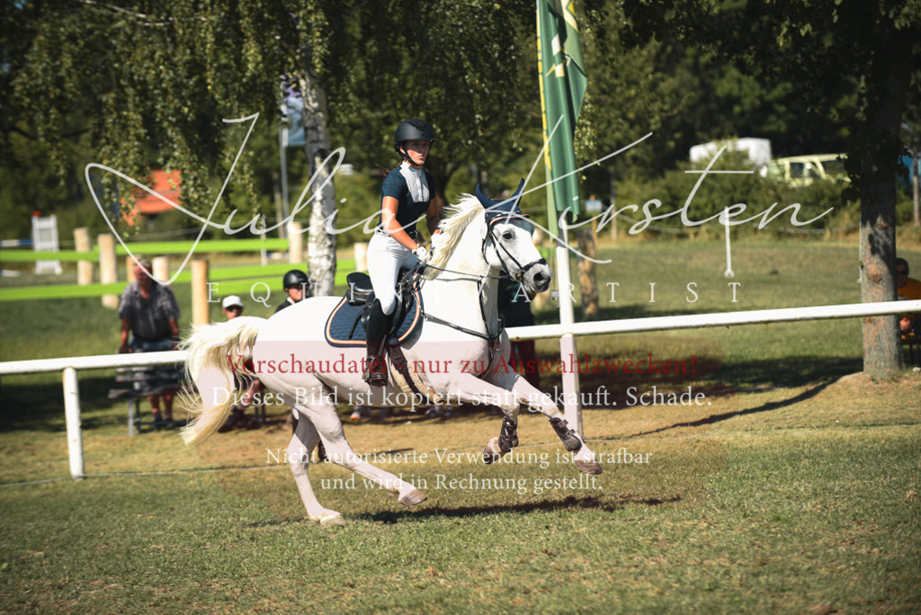 DSC_7263 | Pferde- und Turnierfotografie in Westsachsen. Pferdeportraits, Auftragszeichnungen und intuitive Kunst.