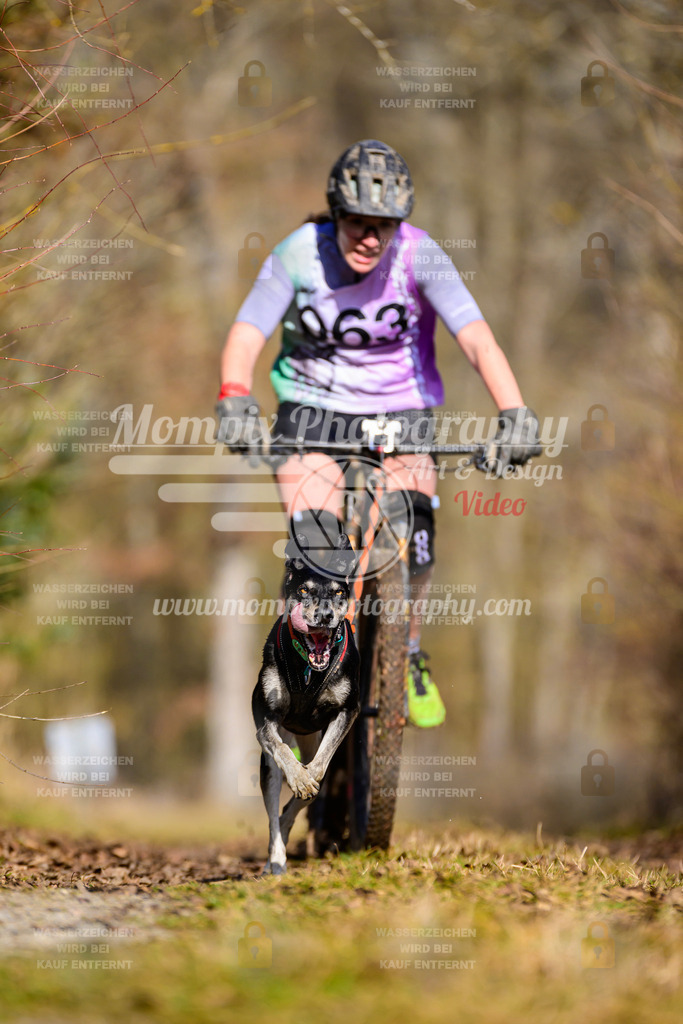 MompixPhotography_Schwabentrail2025_SO_Bike-45 | PayLife