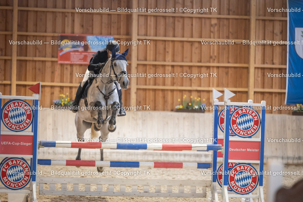 _D5A8732 | Emotionale Pferde- & People-Fotografie rund um Heidelberg, Leimen & Umgebung. Natürliche Fotos von Pferd, Mensch & Familie. Jetzt Termin sichern!