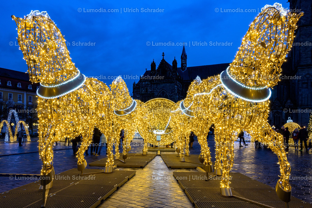 10049-10559 - Magdeburger Lichterwelten | max. Auflösung 8256 x 5504 - Realisiert mit Pictrs.com
