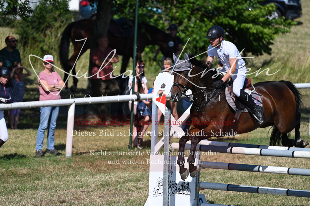 DSC_1955 | Pferde- und Turnierfotografie in Westsachsen. Pferdeportraits, Auftragszeichnungen und intuitive Kunst.