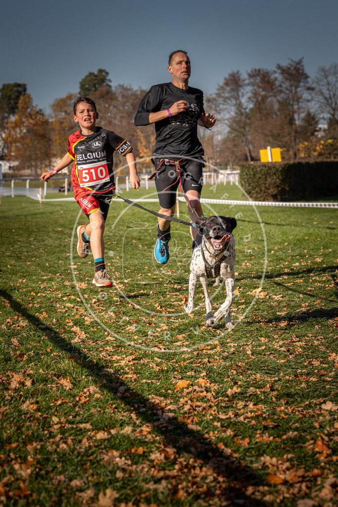 CaniXpix_0L8A6794 | Hundefotografie, Tierfotograf, Pfotenfotografie, Fotoshooting Hund, Hunde Portrait, Hundesport, Hundeportraits, Heideshooting, Hunde, Sportfotograf, Hundefotograf, Turnierhundsport, THS,  - Realisiert mit Pictrs.com