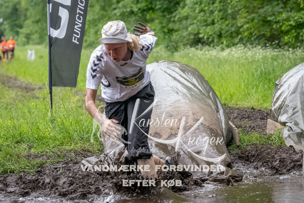 1601_ZZ91711-Bearbeitet | kk-dogfotos