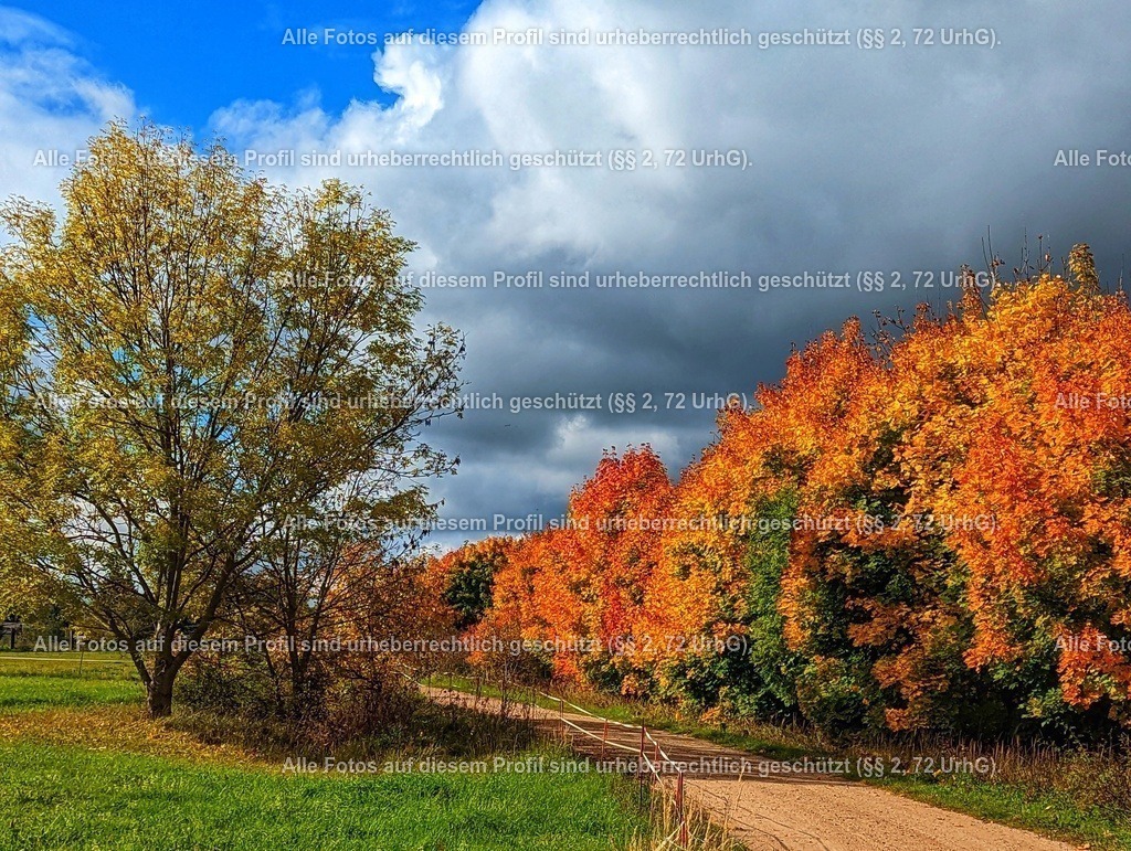 PXL_20221015_105056647-01 | krollfotografie - Realisiert mit Pictrs.com