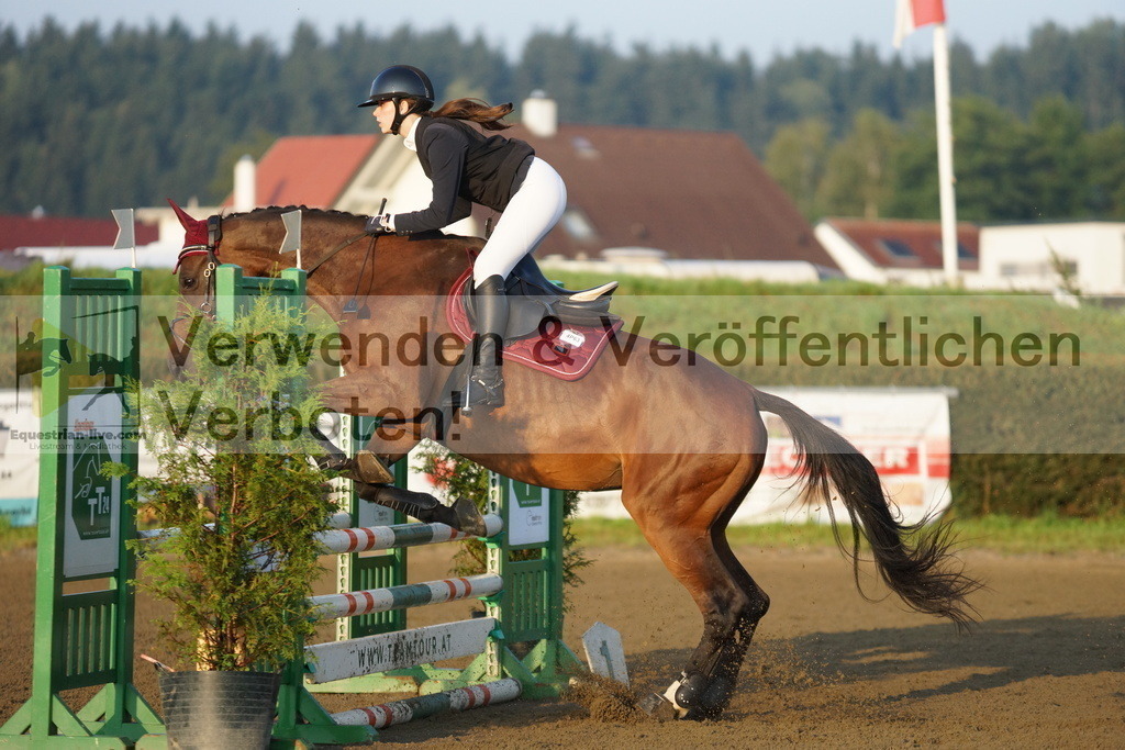 DSC02572 | equestrian-live-com