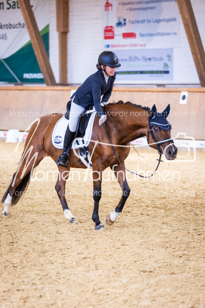 Sth-A-Dre-2St-239 | MomenTaufnahmen Pferdesportfotos