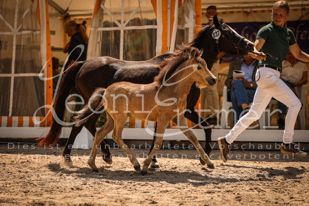 04.DoWP00045 | Leoni Ertmer Photography - Realisiert mit Pictrs.com