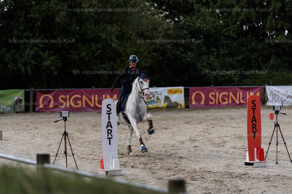 WS_SP_52_SinaFilmArt_IN08868 | working equitationturnier fotograf videograf stoibphotography marixx film working equitation deutschland reitsport turnierfotografie eventfotografie equestrian events