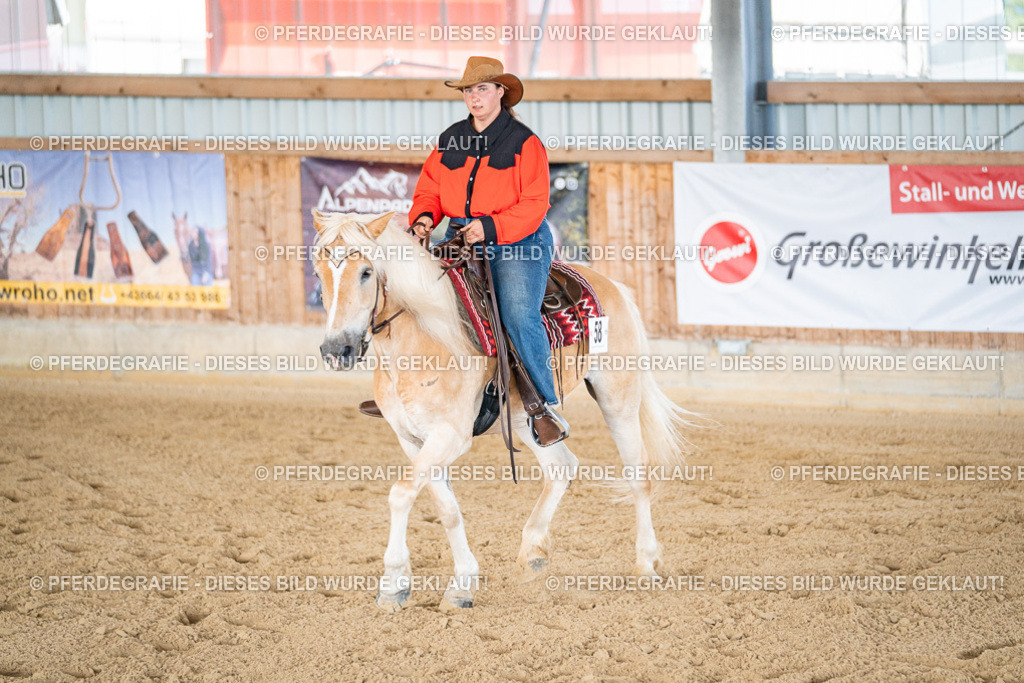 DSC02840 | Pferdegrafie