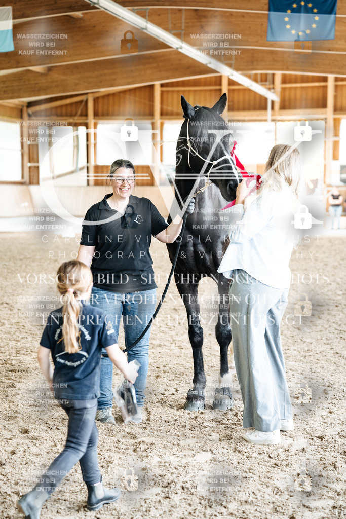 CK703288 | Turnierfotografie Pferdefotografie Trier Rheinland-Pfalz Pferdesport Reitsport Tierfotografie Sportfotografie Pferdevideo Pferdevideografie Equestrianvideography equestrianphotography  - Realized with Pictrs.com