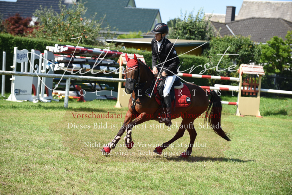 DSC_9264 | Pferde- und Turnierfotografie in Westsachsen. Pferdeportraits, Auftragszeichnungen und intuitive Kunst.